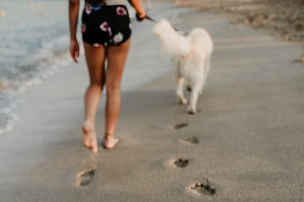 man and dog foot prints